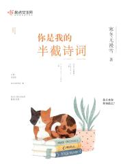 你是我的半截诗词封面