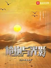 枪炮与光影封面