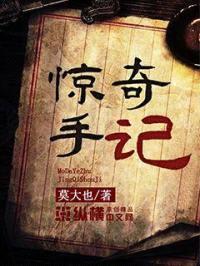 惊奇手记封面