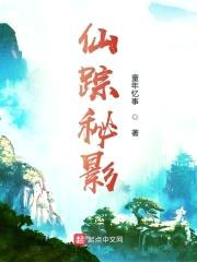 仙踪秘影封面