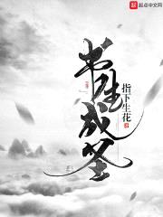 书生成圣封面