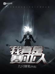 我真是赛亚人封面