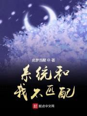 系统和我不匹配封面