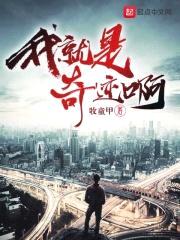 我就是奇迹啊封面