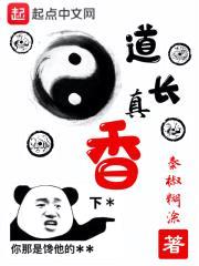 道长真香封面