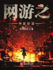 网游之神圣联盟封面