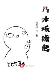 乃木坂缘起封面