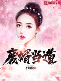 废婿当道封面