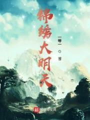 锦绣大明天封面