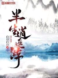 半生逍遥游封面