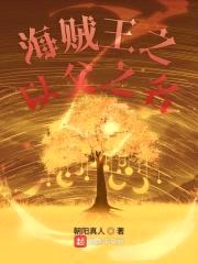 海贼王之以父之名封面