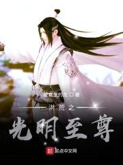 洪荒之光明至尊封面