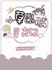 小草出城寻夫记封面