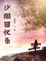 沙雕回忆录封面