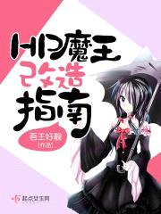 HP魔王改造指南封面