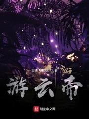 游云帝封面