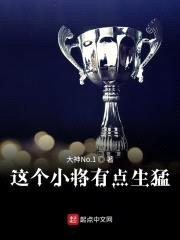 这个小将有点生猛封面