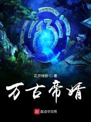 万古帝婿封面