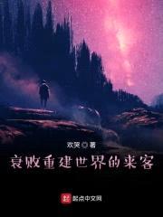 衰败重建世界的来客封面