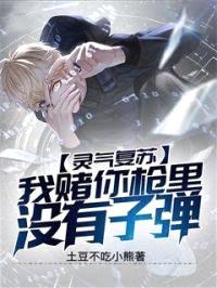 我赌你枪里没有子弹封面