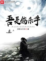 吾是鸽杀手封面