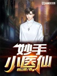妙手小医仙封面