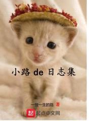 小路de日志集封面