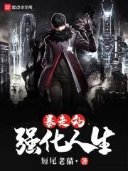 暴走的强化人生封面