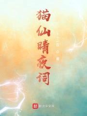 猫仙晴夜词封面