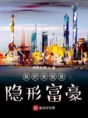 我的老爸是隐形富豪封面