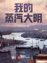 我的蒸汽大明封面