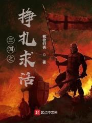 三国之挣扎求活封面