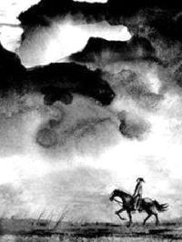 走一遭这江湖封面