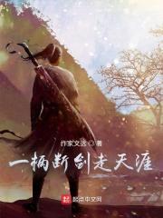 一柄断剑走天涯封面