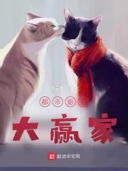 都市影视大赢家封面