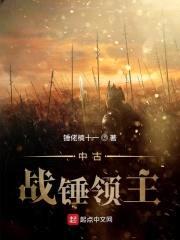 中古战锤领主封面