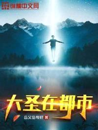 大圣在都市封面