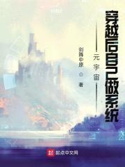 元宇宙：穿越后自己做系统封面