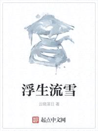 浮生流雪封面