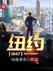 纽约1847封面