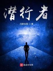 潜行者封面