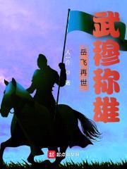 岳飞再世，武穆称雄封面