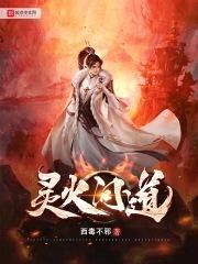 火魔战纪封面