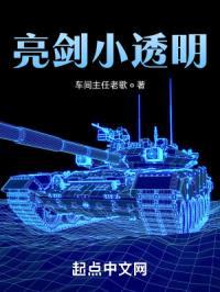亮剑小透明封面
