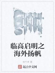 临高启明之海外扬帆封面