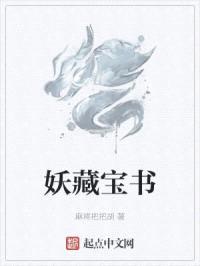 妖藏宝书封面