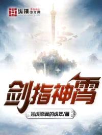 剑指神霄封面
