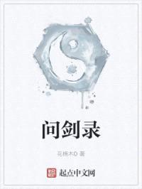 问剑录封面