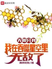 无限分身：我在吞噬星空里无敌了封面