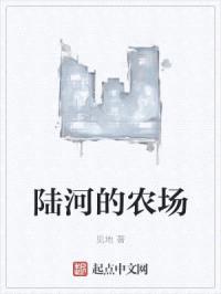 陆河的农场封面